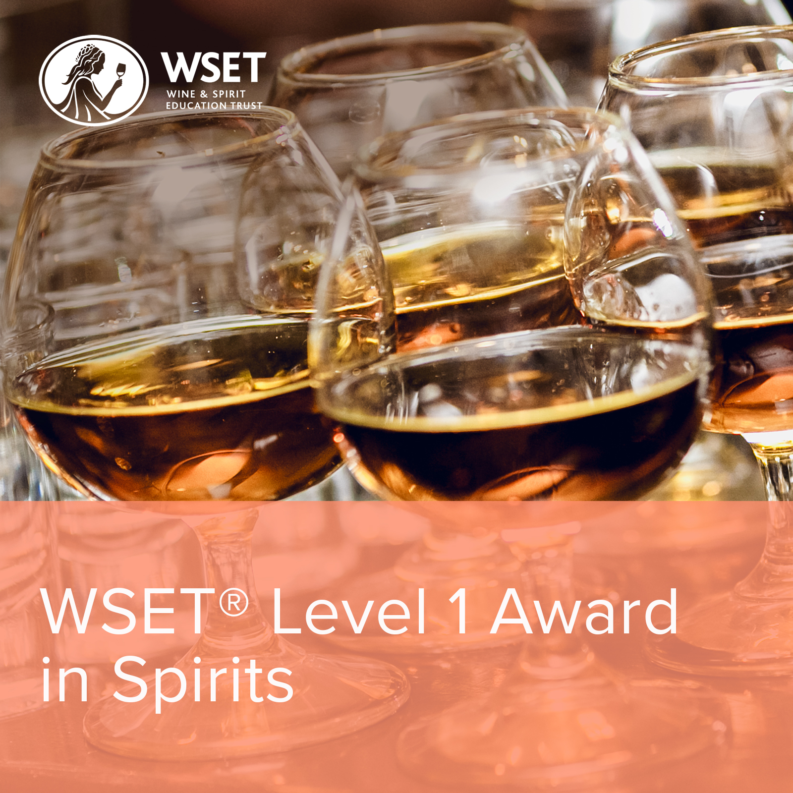 WSET niveau 1 en spiritueux