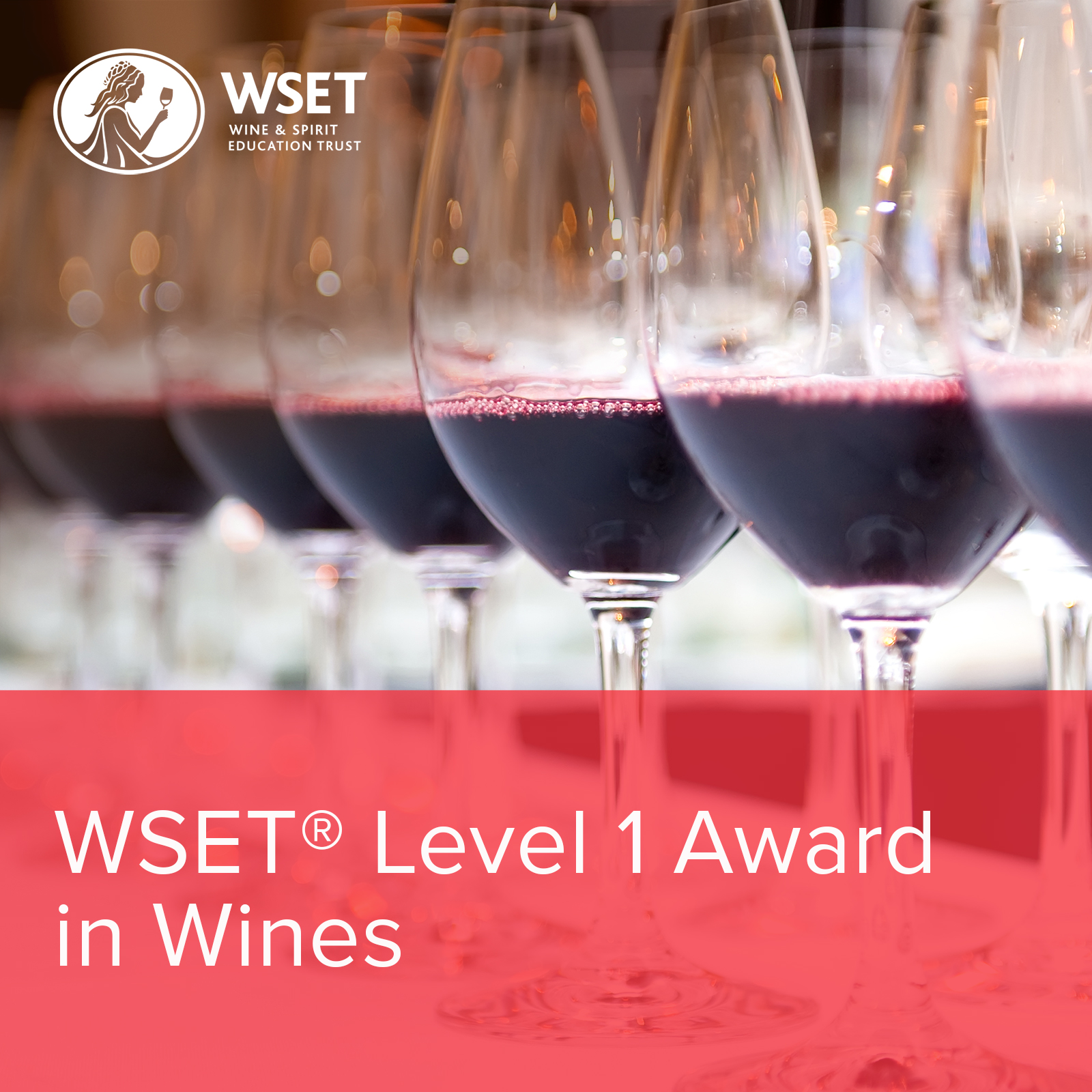 WSET niveau 1 en vins